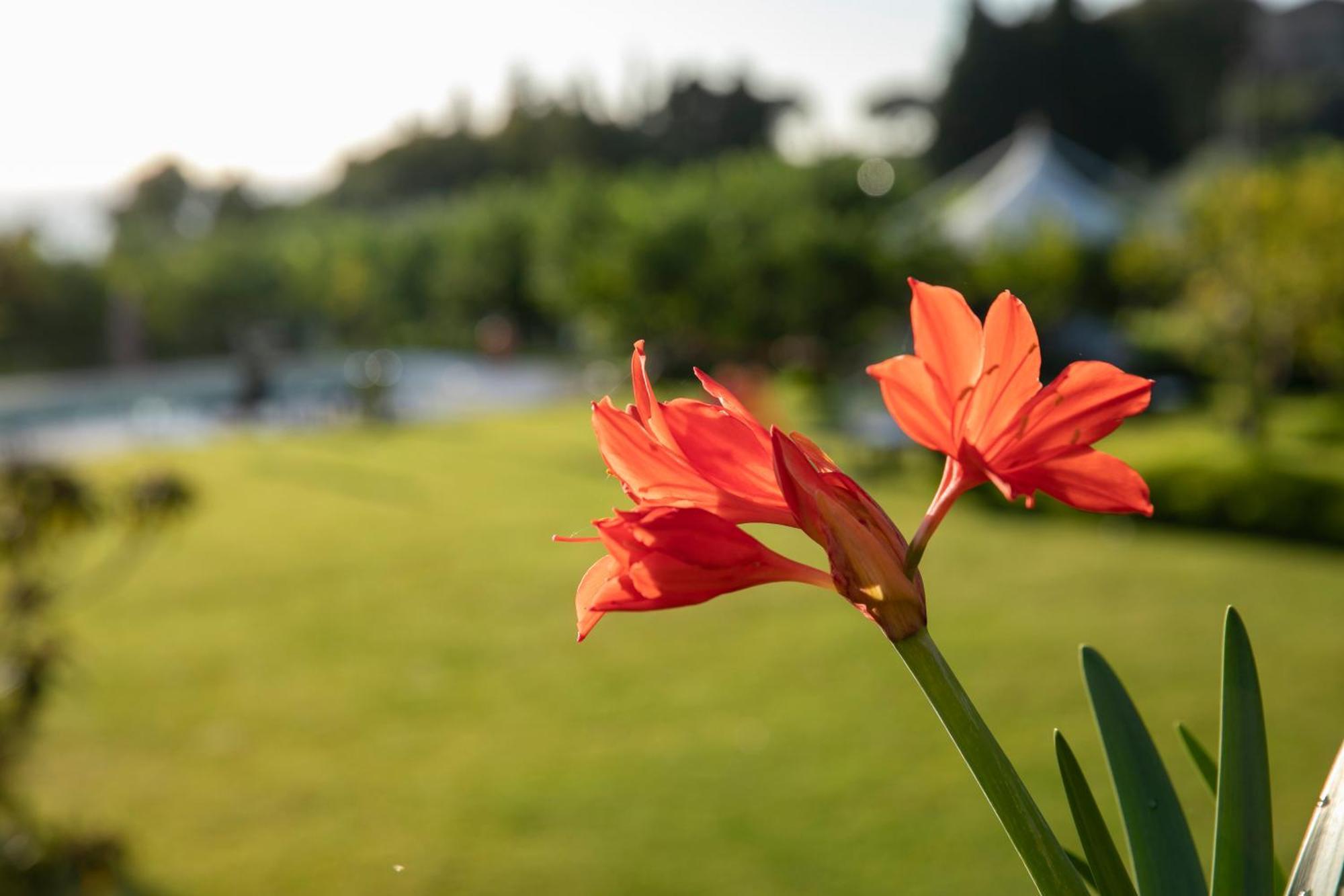 Agriturismo San Leonardello Екстериор снимка